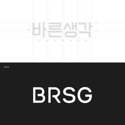 Brand Identity for BRSG cover image