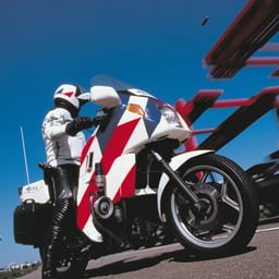 Identity and Vehicle Striping for Dutch National Police cover image