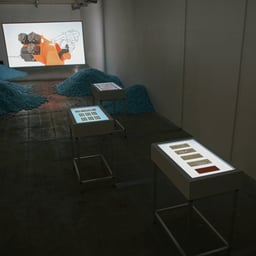 Exhibition Design for Silk to Silicon cover image