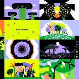 Motion Series for the Nature Conservancy cover image