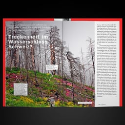 Editorial Design for WSL's Diagonal Magazine cover image