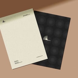 Rebranding for Blue Bird Mutual cover image