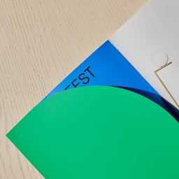 Brand Identity and Website Design for Fest Amsterdam cover image