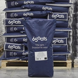 Brand Strategy and Identity for 65 Oats cover image