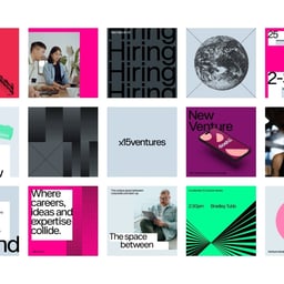 Brand Identity for x15ventures cover image