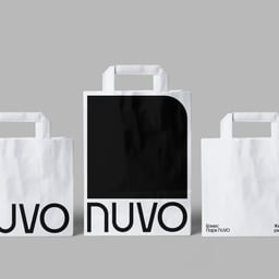 Naming and Brand Identity for Nuvo Business Park cover image
