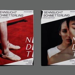Visual Identity for Nederlands Dans Theater cover image