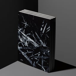 Editorial Design for Paul Bellaart’s Photography Book cover image