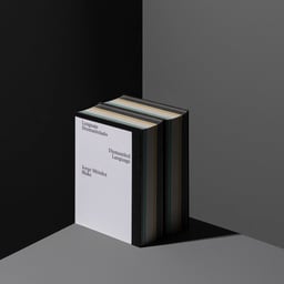 Editorial Design for Dismantled Language Book cover image