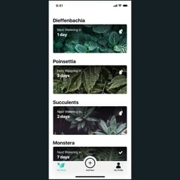 Mobile App Design for Watering Tracker cover image