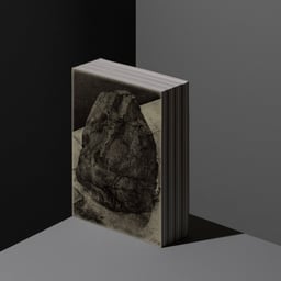Editorial Design for Better Not Move cover image