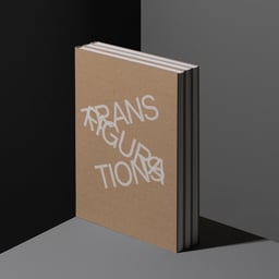Editorial Design for Transfigurations Book cover image