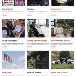 Advocates For Trans Equality - Decimal Studios design work cover image