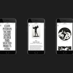 Website Design for L.A. Artist Cleon Peterson cover image