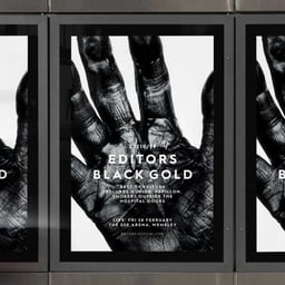 Campaign and Packaging for Editors’ Black Gold Album cover image