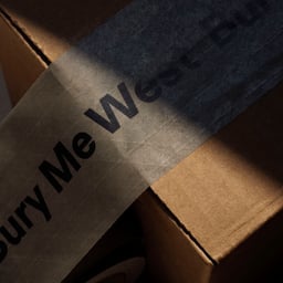 Branding and Website for Bury Me West cover image