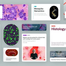 Brand and Website Redesign for QIMR Berghofer cover image