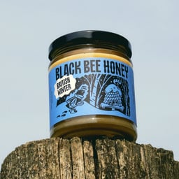 Brand Identity and Strategy for Black Bee Honey cover image