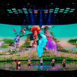 Immersive Video Artwork for Seoul National University cover image