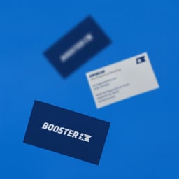 Brand Architecture and Visual Identity for Booster Enterprises cover image