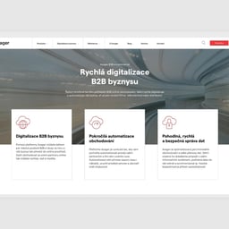 Brand identity and visual system for an innovative IT company cover image