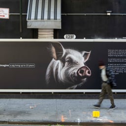 AI Awareness Campaign for NotCo cover image