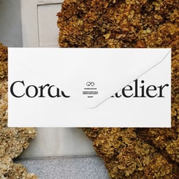 Brand Identity and Website Design for Ananas Ananas cover image