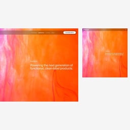 Website Design for Food Technology Innovator Infusd cover image