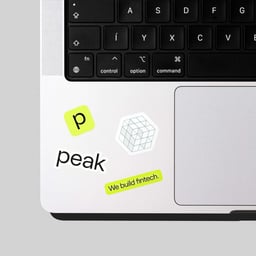 Rebranding and Digital System for Fintech Leader Peak cover image