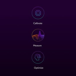 Branding and Web Design for Symbiotica cover image