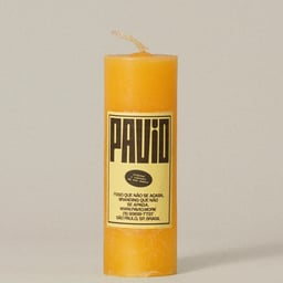 Brand Identity for Pavio cover image