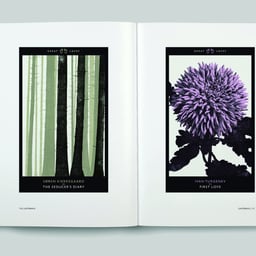 Exhibition Design for Idioms Series at Serralves Foundation cover image