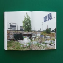 Editorial Design for Notes from the Underdog cover image