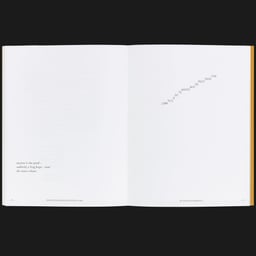 Publication and Exhibition Design for Crocodile Cradle cover image