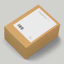 Book Design for a Singular Form Exhibition cover image