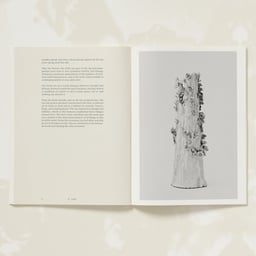 Book Design for Gagosian Setsuko: Into Nature cover image