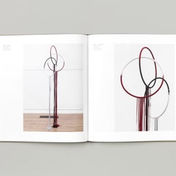 Book Design for Sculptor Eva Rothschild cover image