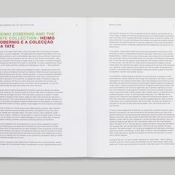 Exhibition Publication Design for Heimo Zobernig cover image