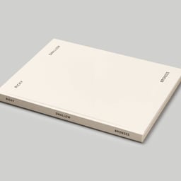 Publication Design for Ricky Swallow: Bronzes cover image