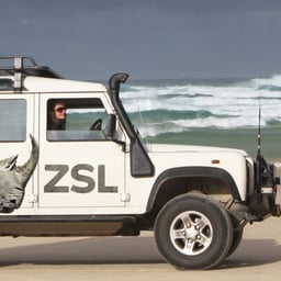Brand Refresh for Global Wildlife Charity ZSL cover image