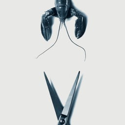 Visual Identity for September Hair Studio and Brasserie cover image