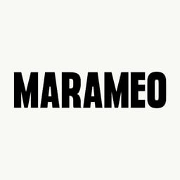 Brand Identity for Marameo cover image