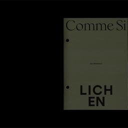 Art Direction and Zine Design for Comme Si X Lichen Collaboration cover image