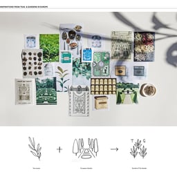 Brand Identity and Packaging for Tea Garden Dishwashing Liquid cover image