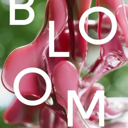 Visual Identity for Bloom Festival 2023 cover image