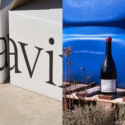 Brand Identity and Packaging for Terravinyada Wine Project cover image
