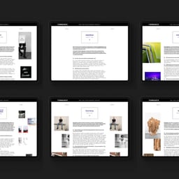 Visual Identity and Website Design for Tongues Platform cover image