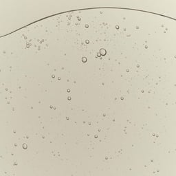 Brand Identity and Packaging for Nutrient-Only Skincare Line Kleos+Klea cover image