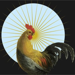Visual Identity and Animation for Palavra Alada cover image