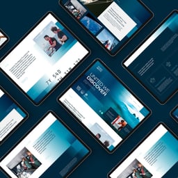 Brand Identity and Website Design for Seabed 2030 cover image